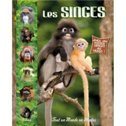 TOUT UN MONDE EN PHOTOS : LES SINGES  - 1