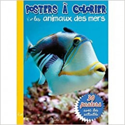 POSTERS A COLORIER - LES ANIMAUX DES MERS  - 1