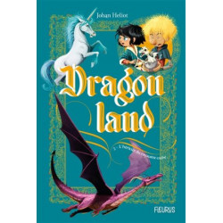 DRAGON LAND - T2 : L'HERITIER DU ROYAUME CACHE  - 1