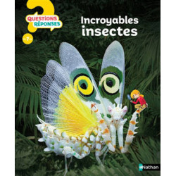 QUESTIONS REPONSES 7 : INCROYABLES INSECTES