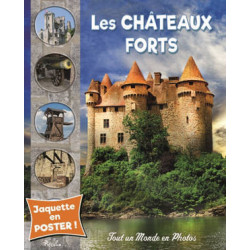 TOUT UN MONDE EN PHOTOS : LES CHATEAUX-FORTS