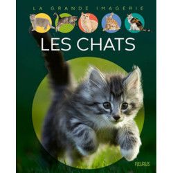 LA GRANDE IMAGERIE : LES CHATS