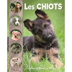 TOUT UN MONDE EN PHOTOS : LES CHIOTS