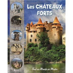 LES CHATEAUX FORTS