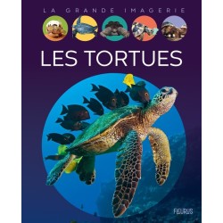 Les tortues ( LA GRANDE...